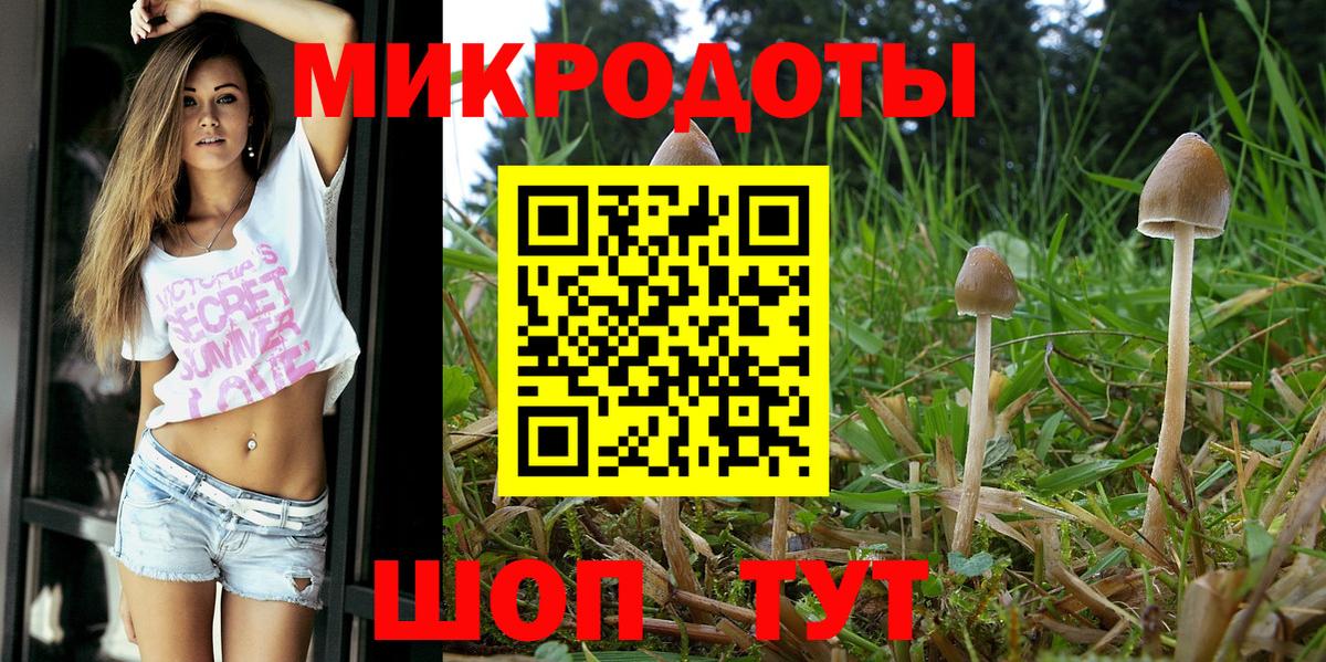 Галлюциногенные грибы прущие грибы  Вход с VPN  Вязники  Псилоцибиновые грибы Cubensis 